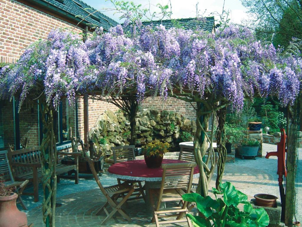 B&B Wisteria Herne Exterior photo