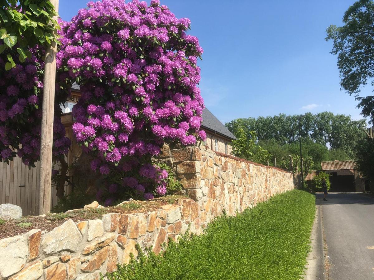 B&B Wisteria Herne Exterior photo